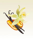 KYOTO IN BLOOM CAR DIFFUSER REFILL