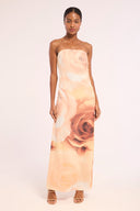 DESERT ROSE